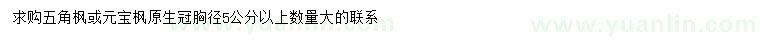 求购胸径5公分以上五角枫、元宝枫