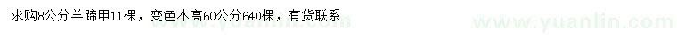 求购8公分羊蹄甲、高60公分变色木