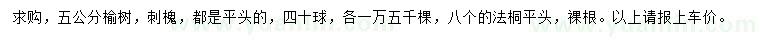 求购榆树、刺槐、法桐