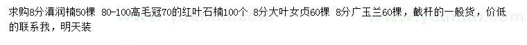 求购滇润楠、红叶石楠、大叶女贞等