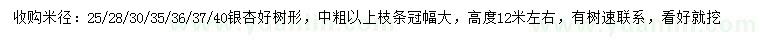 求购米径25、28、30、35、36、37、40公分银杏