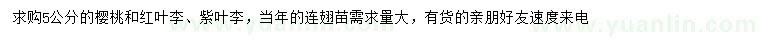 求购樱桃、红叶梨、紫叶梨