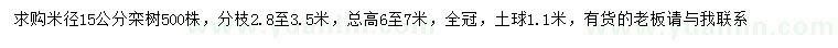 求购米径15公分栾树