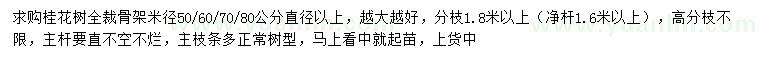 求购米径50、60、70、80公分以上桂花