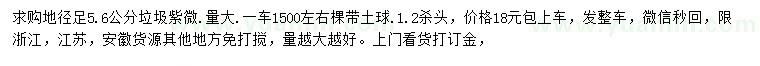 求购地径5、6公分紫薇