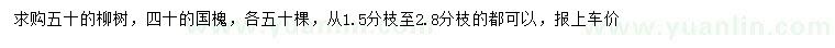 求购50公分柳树、40公分国槐
