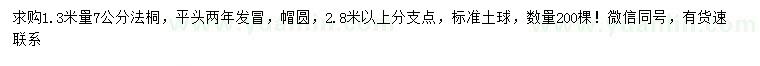 求购1.3米量7公分法桐