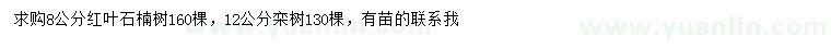 求购8公分红叶石楠、12公分栾树