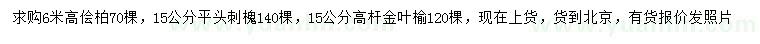 求购桧柏、刺槐、高杆金叶榆