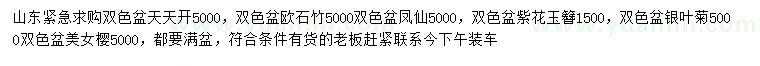 求购天天开、欧石竹、凤仙等