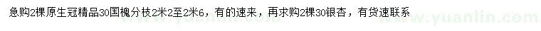 求购30公分国槐、银杏