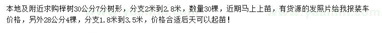 求购28、30公分榉树