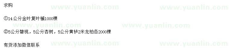 求购金叶复叶槭、碧桃、杏树等