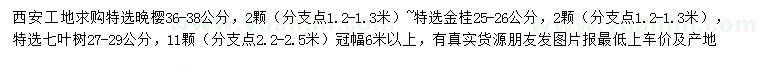 求购晚樱、金桂、七叶树