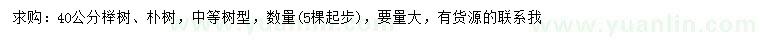 求购40公分榉树、朴树