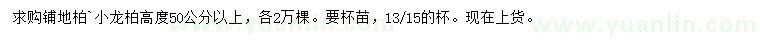 求购高50公分以上铺地柏、小龙柏