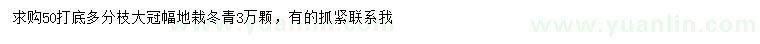 求购50公分以上冬青