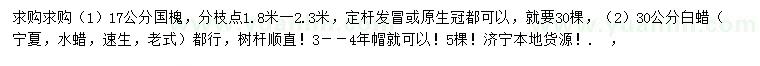 求购17公分国槐、30公分白蜡