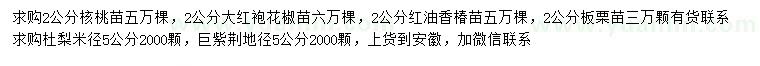 求购核桃苗、大红袍花椒苗、红油香椿苗等