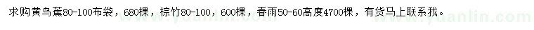 求购黄鸟蕉、棕竹、春雨