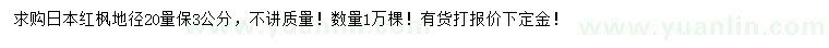 求购20量3公分日本红枫