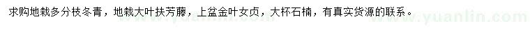 求购冬青、大叶扶芳藤、金叶女贞等