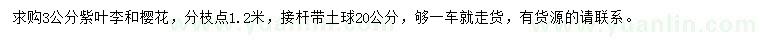 求购3公分紫叶李、樱花