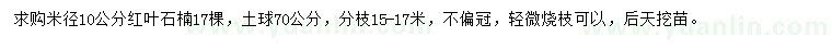 求购米径10公分红叶石楠