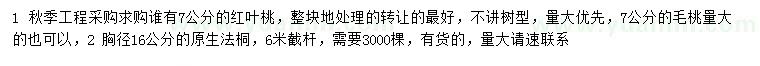 求购红叶桃、毛桃、法桐