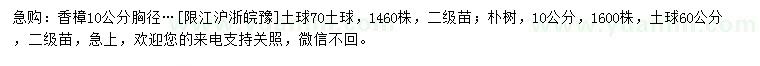 求购胸径10公分香樟、10公分朴树