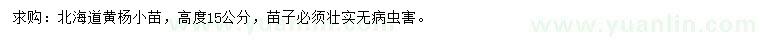 求购高15公分北海道黄杨