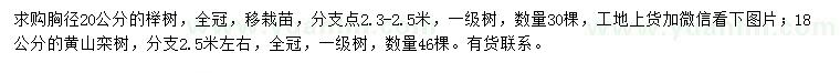 求购胸径20公分榉树、18公分黄山栾树