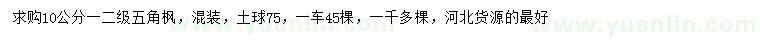 求购10公分五角枫