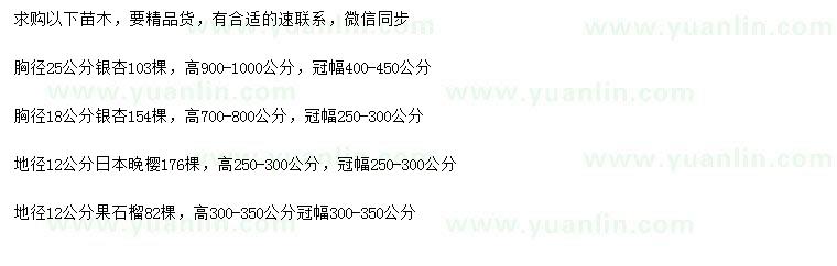 求购银杏、日本晚樱、果石榴