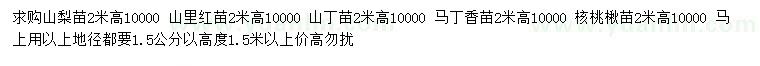 求购山梨苗、山里红苗、山丁苗等