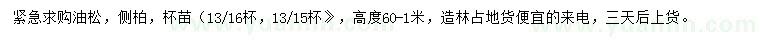 求购高60公分-1米油松、侧柏