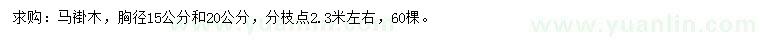 求购胸径15、20公分马褂木