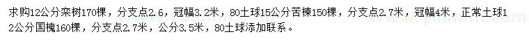 求购栾树、苦楝、国槐