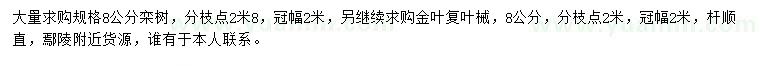 求购8公分栾树、金叶复叶槭