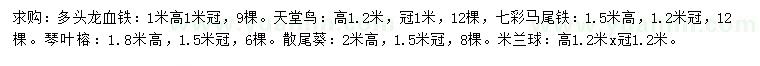 求购多头龙血铁、天堂鸟、七彩马尾铁等