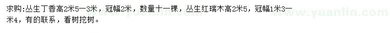 求购高2.5-3米丛生丁香、高2.5米丛生红瑞木