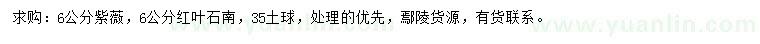 求购6公分紫薇、红叶石楠