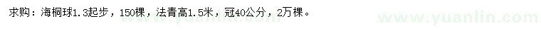 求购1.3米起步海桐球、高1.5米法国冬青