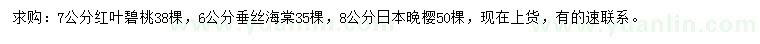 求购红叶碧桃、垂丝海棠、日本晚樱