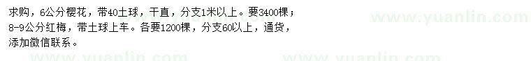 求购6公分樱花、8-9公分红梅