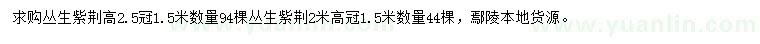 求购高2、2.5米丛生紫荆