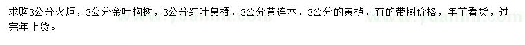 求购火炬、金叶构树、红叶臭椿等