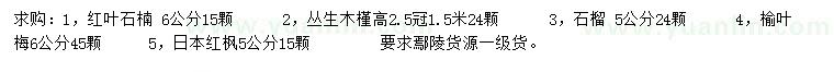 求购红叶石楠、丛生木槿、石榴等