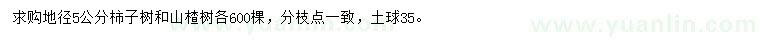 求购地径5公分柿子树、山楂树