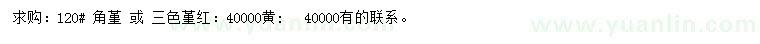 求购角堇、三色堇红